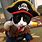 Pirate Cat Outfit