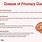 Pituitary Gland Diseases