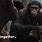 Planet of the Apes Together Strong