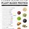 Plant Protein Sources Chart