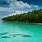 Pohnpei Island