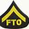 Police Fto Logo