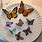 Polymer Clay Butterfly