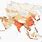 Population Density South Asia