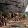 Prehistoric Cave People