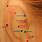 Pressure Point Behind the Ear