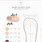 Printable Baby Shoe Chart