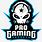 Pro Gamer PNG