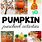 Pumpkin Theme Preschool