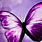 Purple Butterfly Pictures