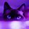 Purple Cat Aesthetic
