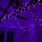 Purple Fairy Lights