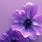 Purple Flower iPhone Wallpaper
