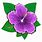 Purple Hibiscus Flower Clip Art