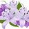 Purple Lily Flower Clip Art