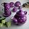 Purple Tea Set