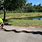 Python's in Florida Everglades