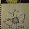 Quick Flower Drawing