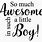Quotes for Boys Room