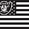 Raiders American Flag