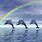 Rainbow Dolphin Wallpaper