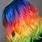 Rainbow Dyed Hair