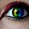 Rainbow Eye Contacts