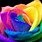 Rainbow Flower Art