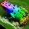 Rainbow Frogs Cute