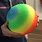 Rainbow Playground Ball