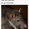 Rat On Phone Call Meme