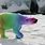 Real Rainbow Bear
