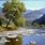 Realistic Oil Paintings of Landscapes