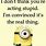 Really Funny Minion Quotes