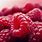 Red Raspberry Fruits