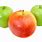 Red and Green Apple's PNG