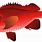 Redfish Clip Art