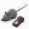 Remote Control Mouse Cat Toy
