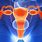 Reproductive System Animated