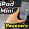 Reset iPad Mini
