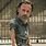 Rick Grimes Funny Picture