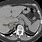 Right Adrenal Adenoma