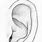 Right Ear Drawing