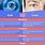 Rods vs Cones Eye