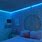 Room Inspo LED Lights