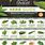 Root Herbs List