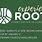 Rooted Church Program