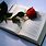 Rose Book