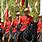 Royal Canadian Mounties