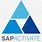 SAP Activate Logo